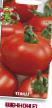Tomatoes varieties Shennon F1  Photo and characteristics