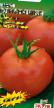 Tomatoes varieties Bliznyashki Photo and characteristics