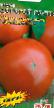 Tomaten  Dorogojj gost  klasse Foto