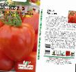 Tomaten Sorten Kanopus Foto und Merkmale