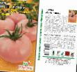 Los tomates variedades Long kiper  Foto y características