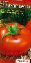 tomaatit  Lyubimyjj korol laji kuva