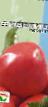 Tomatoes varieties Fidelio Photo and characteristics