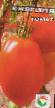 tomaatit lajit Knyaginya kuva ja ominaisuudet