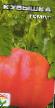 des tomates  Kubyshka l'espèce Photo