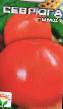 des tomates les espèces Sevryuga Photo et les caractéristiques