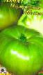I pomodori le sorte Izumrudnoe yabloko foto e caratteristiche