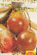 tomaatit lajit Beduin  kuva ja ominaisuudet