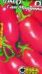 des tomates  San-Marcano  l'espèce Photo