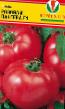 Tomatoes  Rozovaya pantera F1  grade Photo