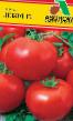 Los tomates variedades Debyut F1  Foto y características