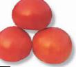 des tomates  Skif F1  l'espèce Photo