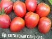 Tomatoes  Argentinskaya slivka rozovaya  grade Photo