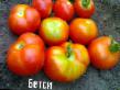 Los tomates  Behtsi  variedad Foto