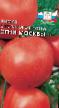Tomatoes varieties Ogni Moskvy Photo and characteristics