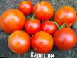 des tomates  Karlson plyus  l'espèce Photo