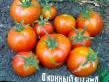des tomates  Okonnyjj shtamb l'espèce Photo