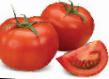 des tomates  Galina F1 l'espèce Photo