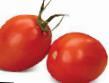 Tomaten Sorten Shanti F1 Foto und Merkmale