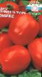 Los tomates  Oniks variedad Foto