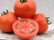 Los tomates variedades Lamantin F1 Foto y características
