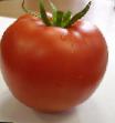 des tomates les espèces Linda F1  Photo et les caractéristiques