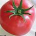 Los tomates variedades Mamula F1 Foto y características