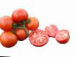 Los tomates variedades Aksioma F1 Foto y características