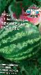 Vodní meloun druhy Bolshaya Pekinskaya Radost F1 fotografie a charakteristiky