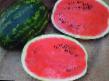 Wassermelone Sorten Karistan F1 Foto und Merkmale