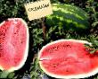 Wassermelone Sorten Selebrejjshn F1 Foto und Merkmale