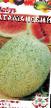 Vodní meloun druhy Atamanskijj fotografie a charakteristiky