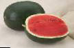 Wassermelone Sorten Lekhat F1 (Lakhat F1) Foto und Merkmale
