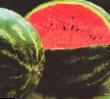 Vodní meloun druhy Krimson tajjd F1 fotografie a charakteristiky