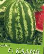 Watermelon varieties Kadiya F1 Photo and characteristics