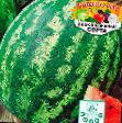 Wassermelone Sorten Knyazhich Foto und Merkmale