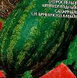 Vodní meloun druhy Skorostnaya torpeda F1 fotografie a charakteristiky