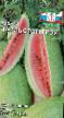 Watermelon varieties Charlston Grejj Photo and characteristics