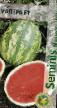 Watermelon varieties Madera F1 Photo and characteristics