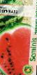 Vattenmelon sorter Ehvrika F1 Fil och egenskaper