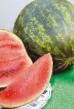 Watermelon varieties Rozovoe shampanskoe F1 Photo and characteristics
