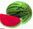 Wassermelone Sorten Boston F1 (bessemyannyjj) Foto und Merkmale