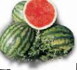 Wassermelone Sorten Krisbi F1 Foto und Merkmale
