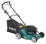 Daye DYM1566, self-propelled lawn mower Photo