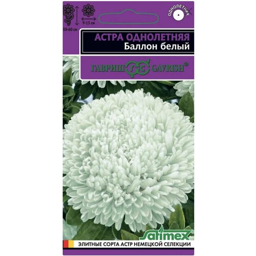 Астра густомахровая Баллон Белый, 1 пакет, семена 0,05 гр, Гавриш, однолетняя фото
