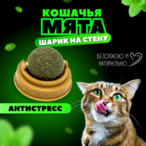 Кошачья мята / Шарик с кошачьей мятой на стену / Лакомство для кошек фото