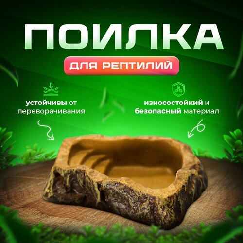 Поилка для террариума и рептилий Simple Zoo, 100х80х30 мм фото