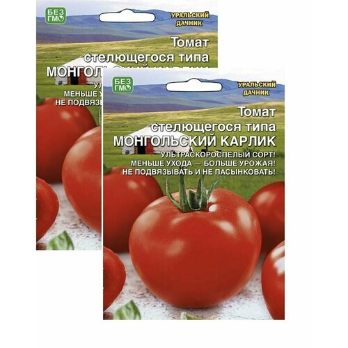 Семена Томат Монгольский карлик 2 пакетика * 20шт(семян) Уральский дачник фото