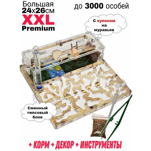 Большая муравьиная ферма XXL Premium 24*26см Полный комплект Сосна фото