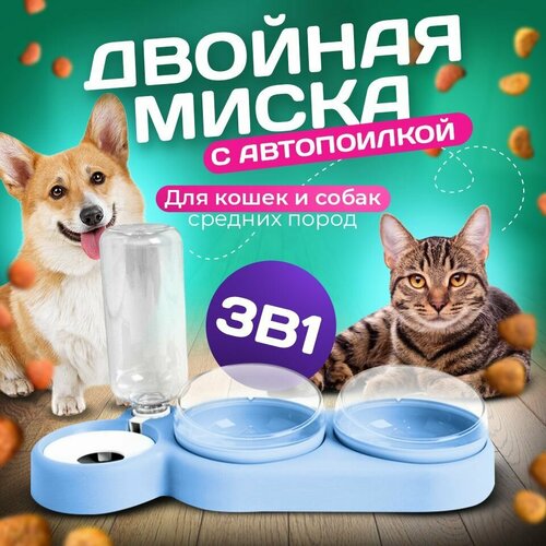 Миска 3 в 1 голубая/автопоилка/для животных, для кошек и собак/на подставке фото